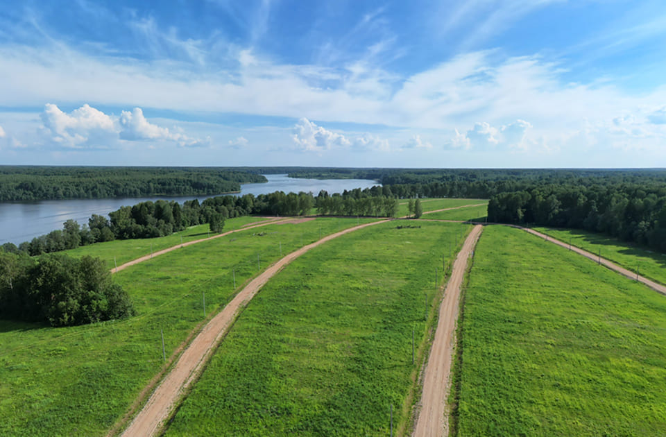 Фото описания проекта