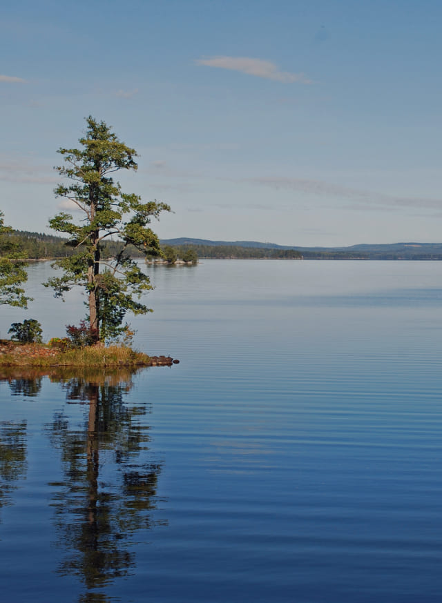 Фото описания проекта